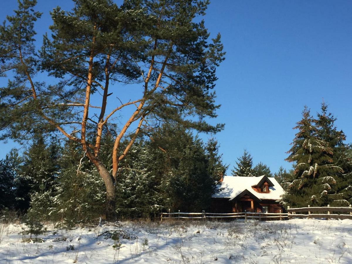 Vila Sosnowy Zakatek Zyzdrojowy Piecek Exteriér fotografie
